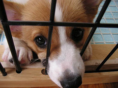 Resize of PICT0714_thumb.jpg